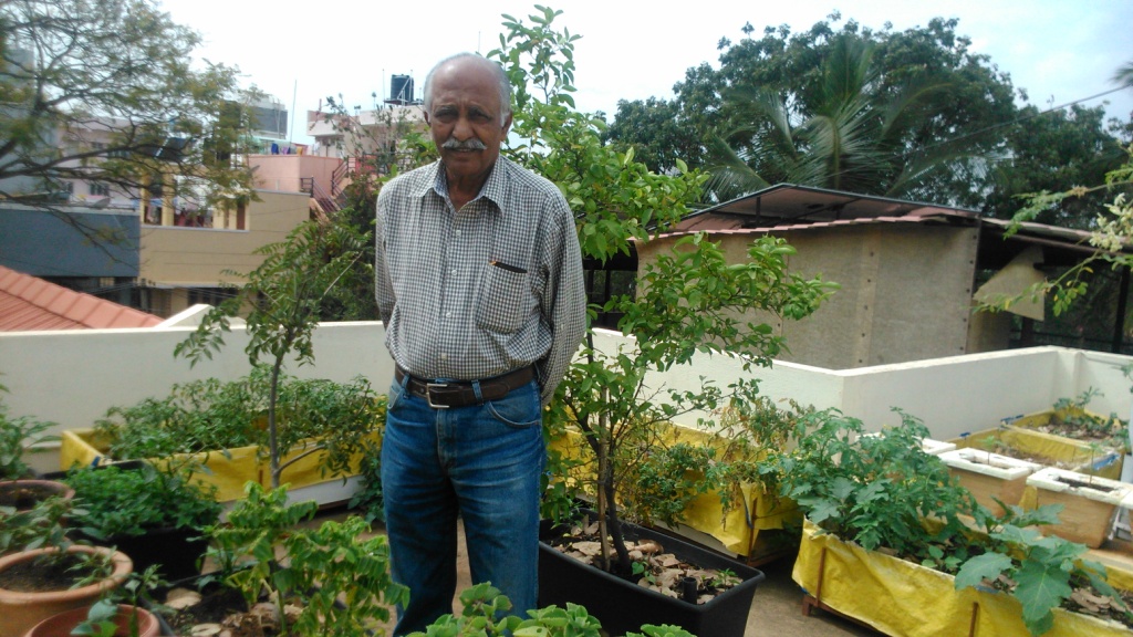 5 Secrets To Creating The Most Amazing Terrace Garden From The Father Of Terrace Gardening Himself The Better India