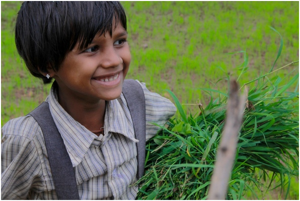 With their parents' increased income, Bhil children can now go to school.