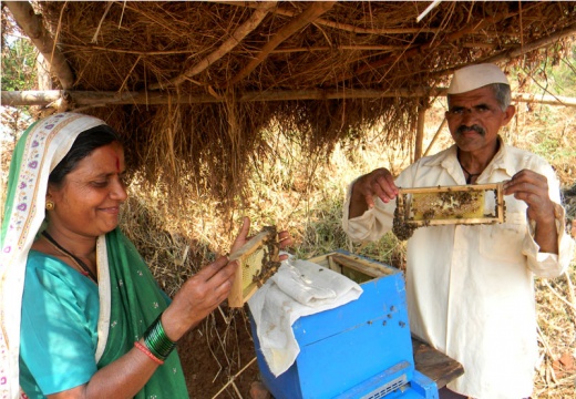 bee keeping