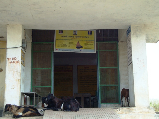 Before July 2013, stray cattle instead of patients were a common sight at the Devgarh Primary Health Centre (PHC). 
