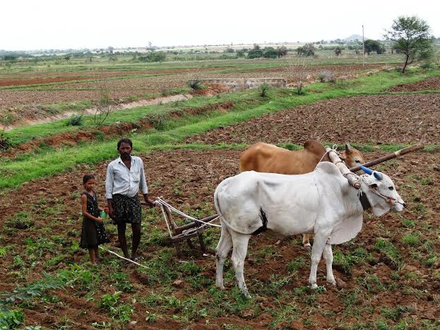 Many believe that to prevent farmer suicides the country has to go beyond addressing economic inequalities and, in fact, focus on removing gender inequalities. (Picture for representational purpose only) (Credit: Aditi Bishnoi\WFS)