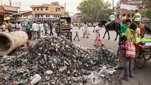 QUICK BYTES: An empty plot was being used to dump garbage. Then 12 kids took charge of it.