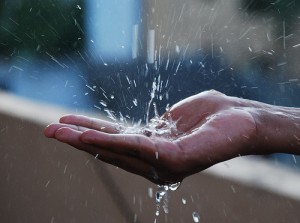 A Farmer is Using his Son's Wedding to Make People Aware About Water Conservation