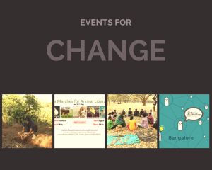 Events to attend this week (29/05/15 - 04/06/2015)