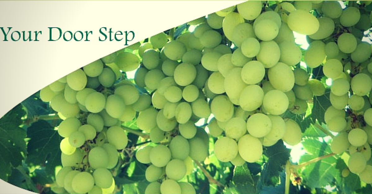 QUICK BYTES: Small farmers in Nashik are now using the Internet grape vine