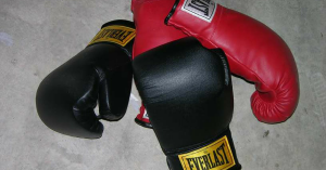 Professional Boxing Receives Promising Support