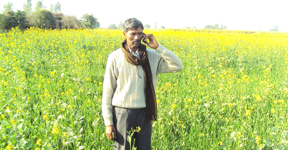 How 2 Messages a Week are Helping 400,000 Farmers avoid Crop Loss and Increase Harvest
