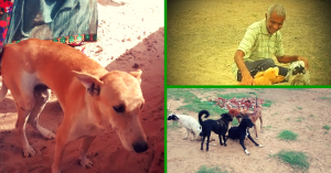 Meet Mahendra Shrimali, The Man Who Set up India's First Shelter for Dogs with Disabilities