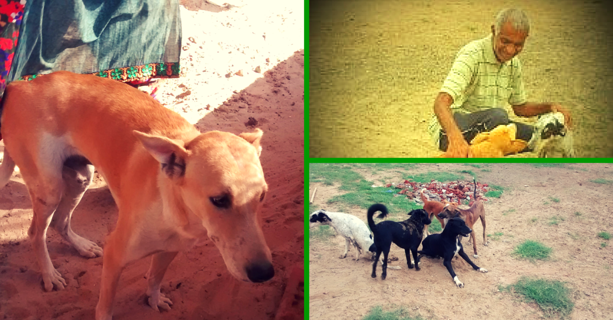 Meet Mahendra Shrimali, The Man Who Set up India’s First Shelter for Dogs with Disabilities