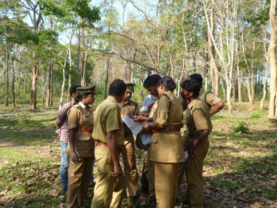 Forest guards keep a track of location of the elephants and notify the Shola Trust team.