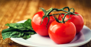 Ever Thought That Tomatoes Could Generate Solar Energy? Some Researchers in Rajkot Did!