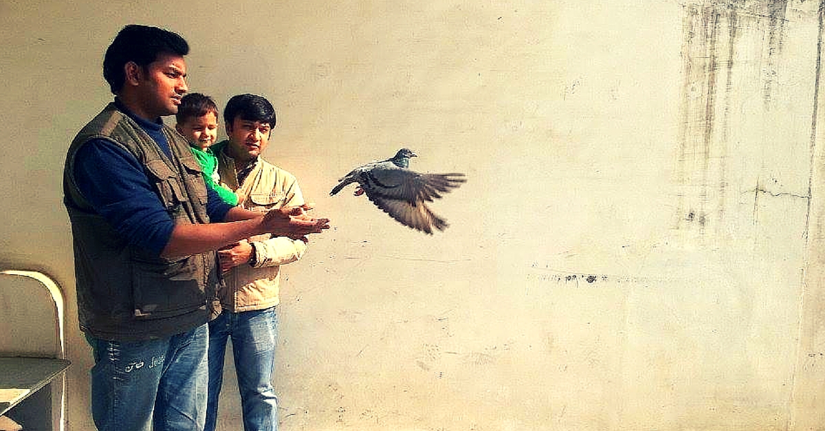 When a Bird Died in His Arms, This Man Decided to Rescue Every Injured Bird in Jaipur