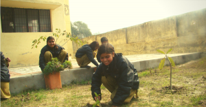 Dept of Horticulture to Help 500 Schools Teach Kitchen Gardening to Their Students