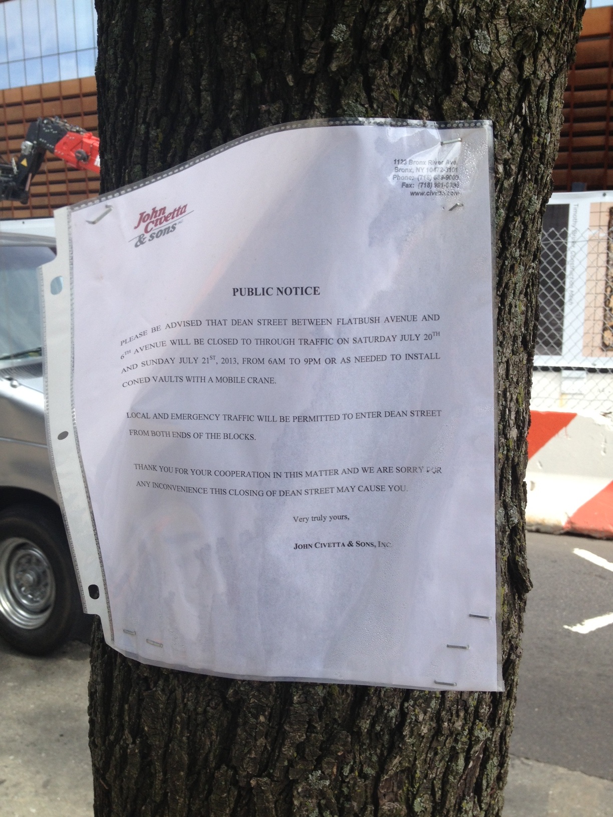 flyer in street tree one_0