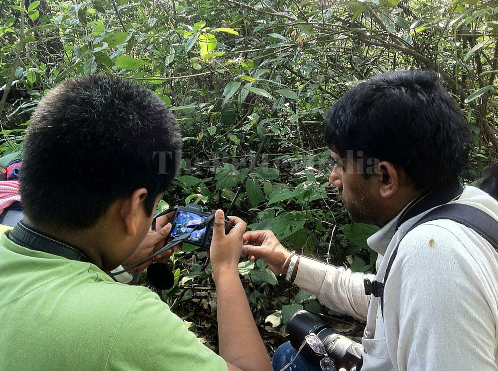 Students participating in the project 