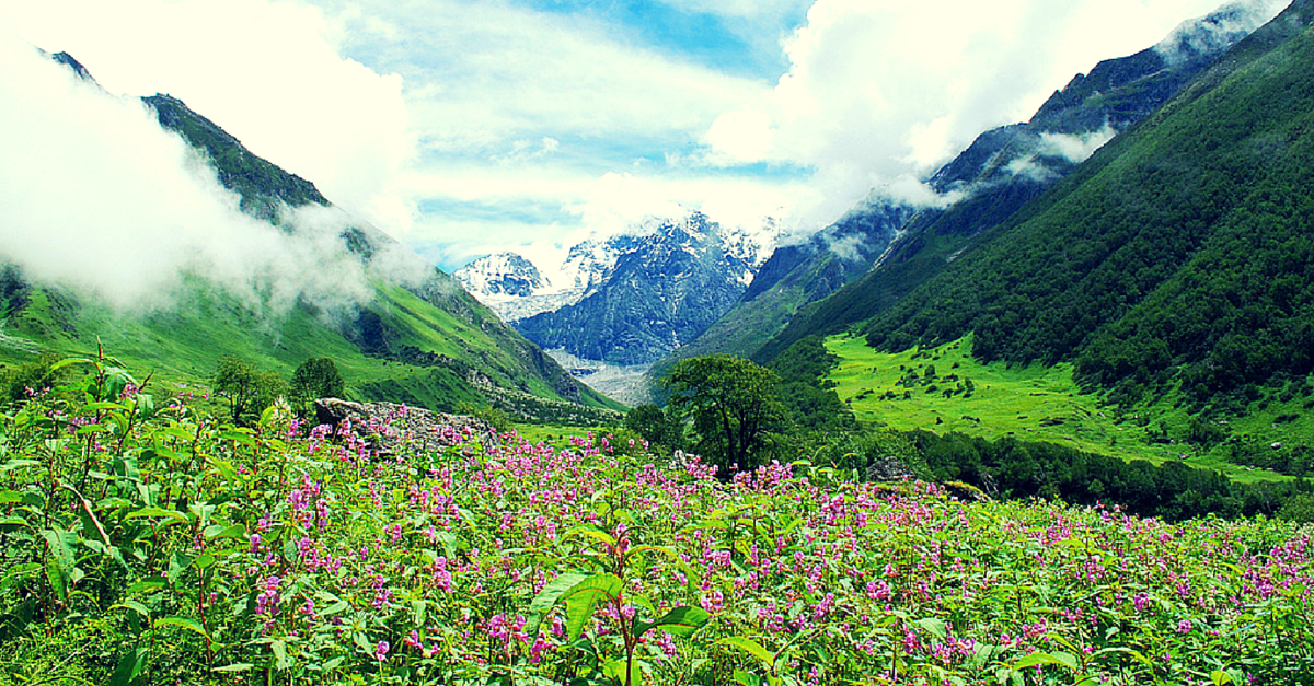 Old Valley of Flowers Trekking Route Reopens After 45 Years