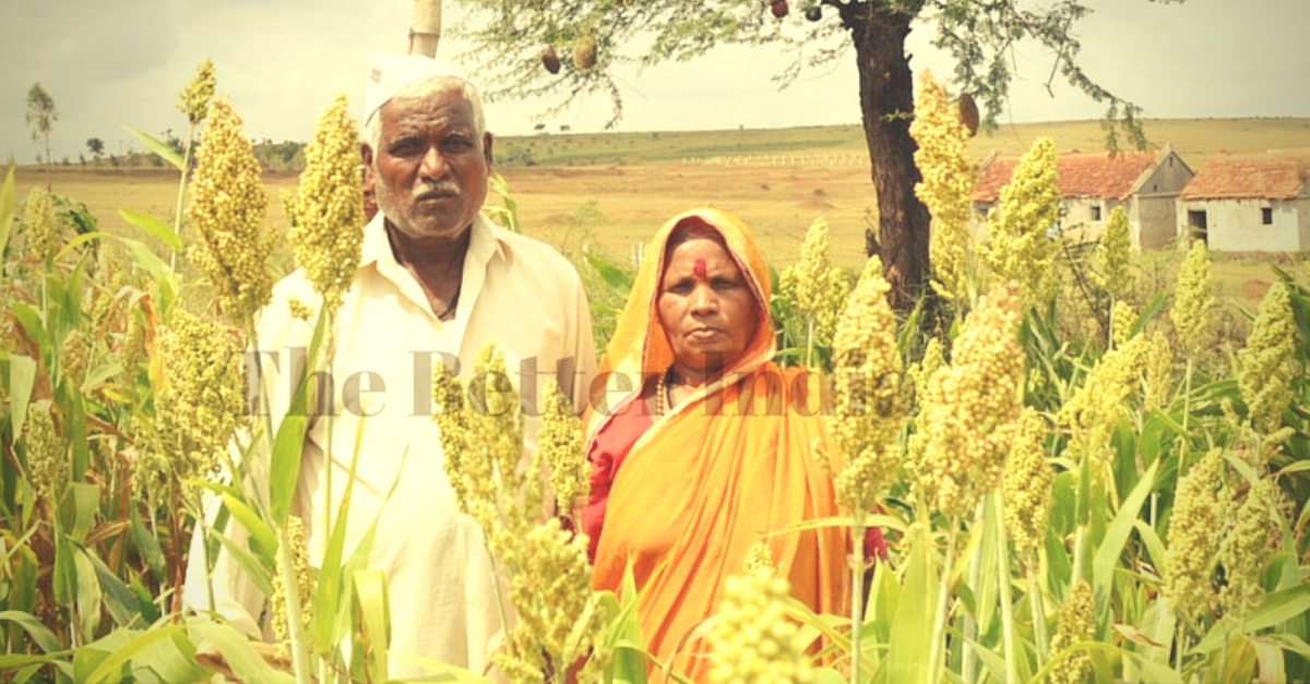 In Drought-Prone Maharashtra, This Farmer Leaves His Entire Crop for Birds to Feed On
