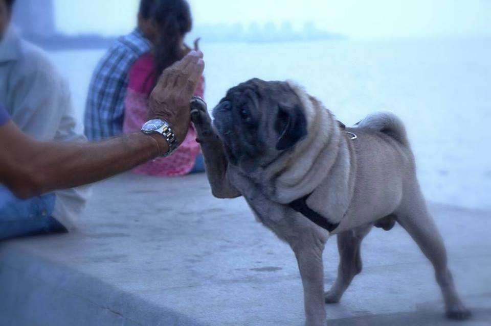 Marine Drive