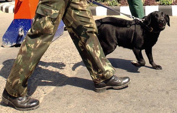 indian army dogs