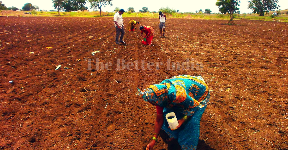 Farmers being taught the dibbling method.