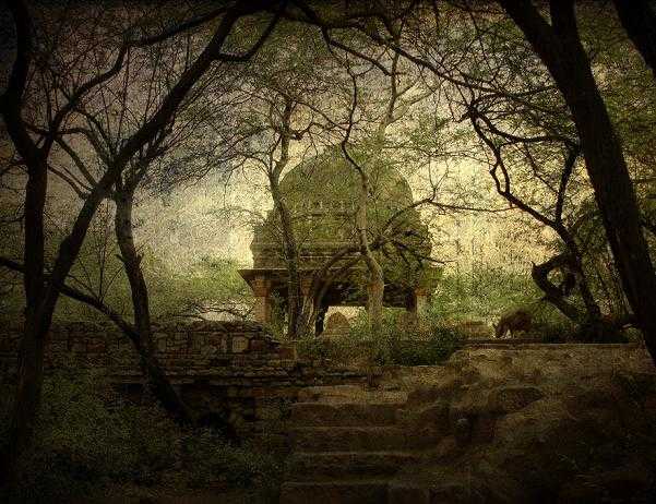 mehrauli