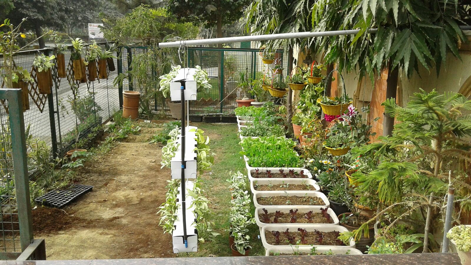 Flowering plants and vegetables grown with Bioneer compost. Photo credit: MK Garg