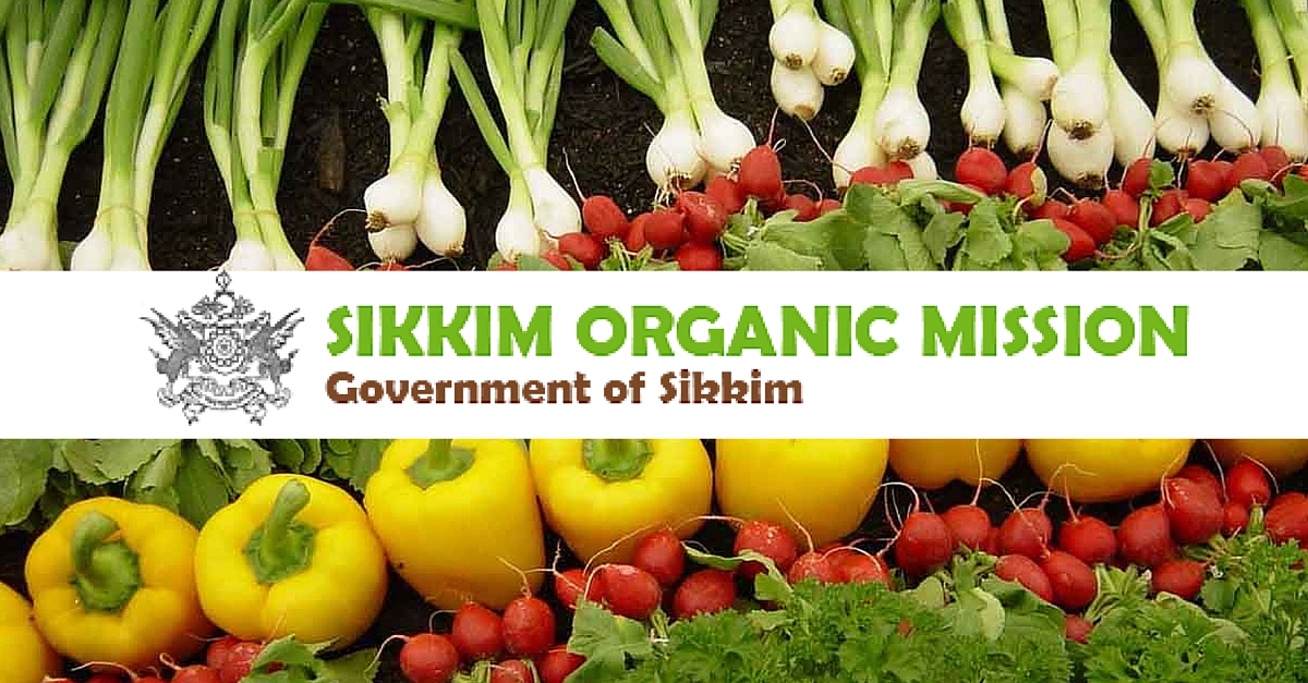 How Sikkim Beat Himalayan Odds to Become India’s First Organic State