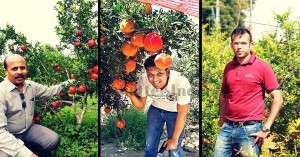 Want to Invest in Agriculture but Don't Know Where to Begin? These Engineers Can Help.