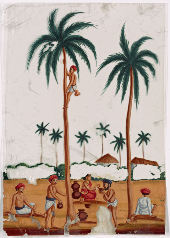 Toddy gatherers in landscape with palm trees