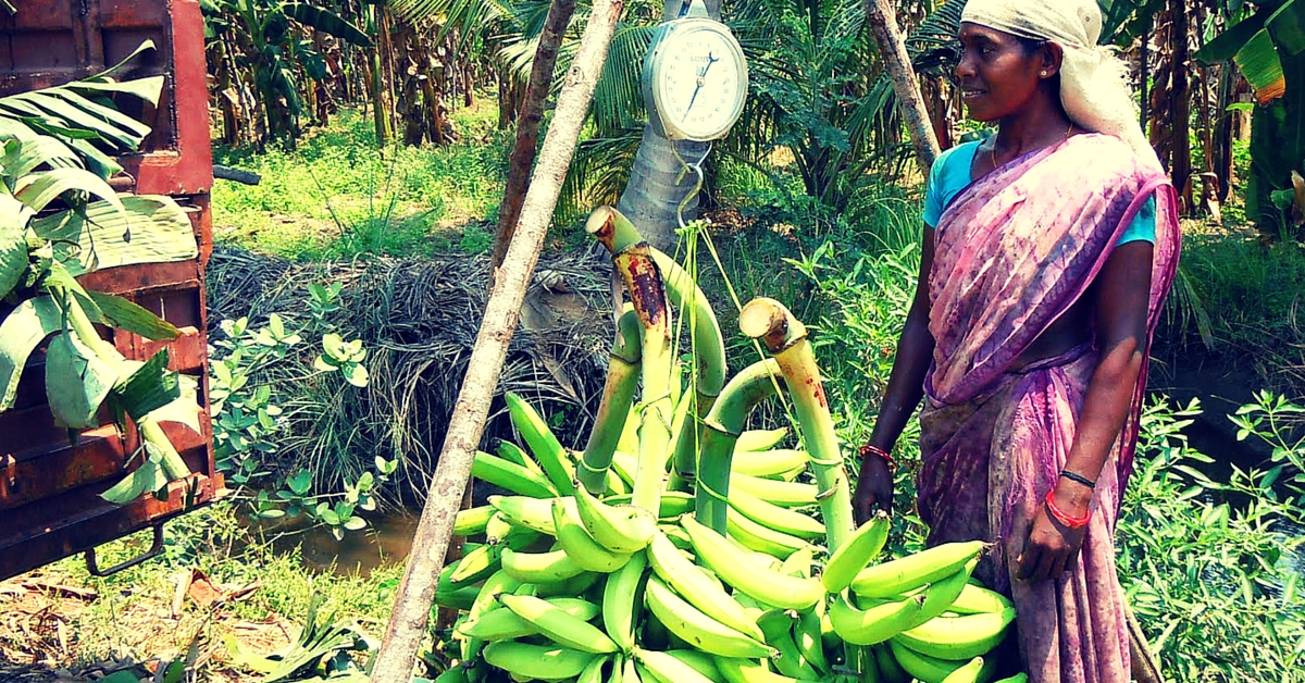 A Government Programme in Kerala Is Turning Women into Agripreneurs
