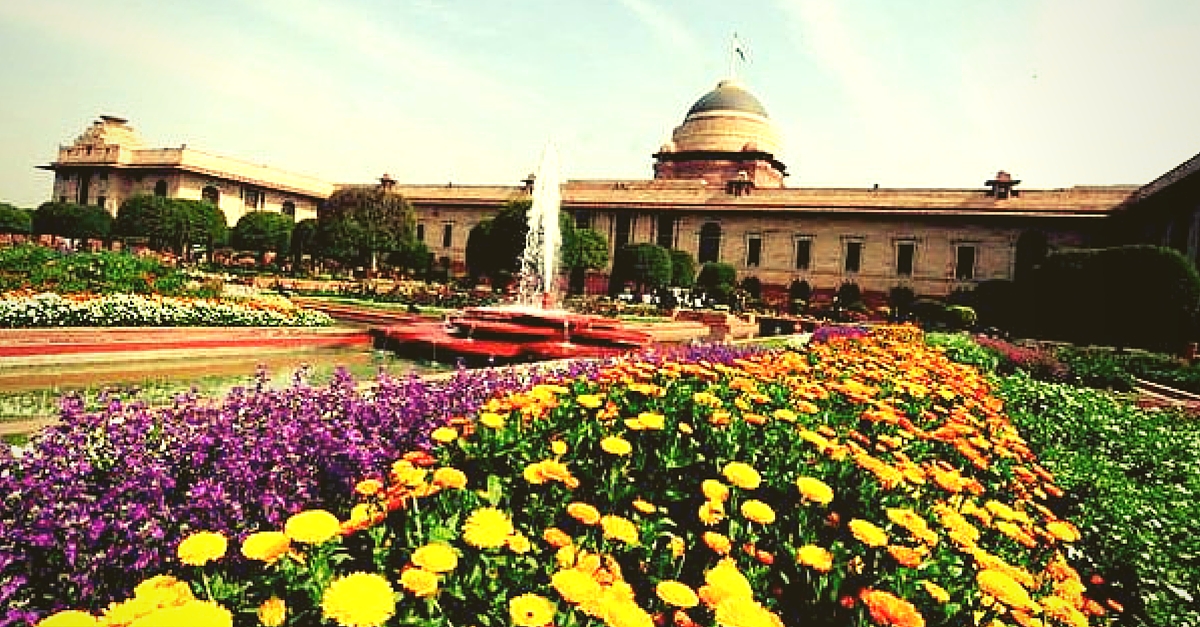 IN PICTURES: The Colourful Mughal Gardens Will Open for the Public Soon. Flower Lovers Ready?