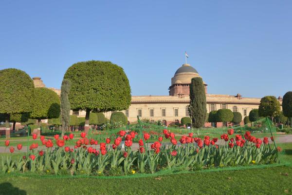 mughal gardens7