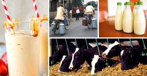 Pathbreaking Technology to Detect Milk Adulteration in 45 Seconds and Less Than Re 1