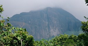 UNESCO adds India's Agasthyamala Biosphere Reserve to its list of perfect biospheres. Here's why.