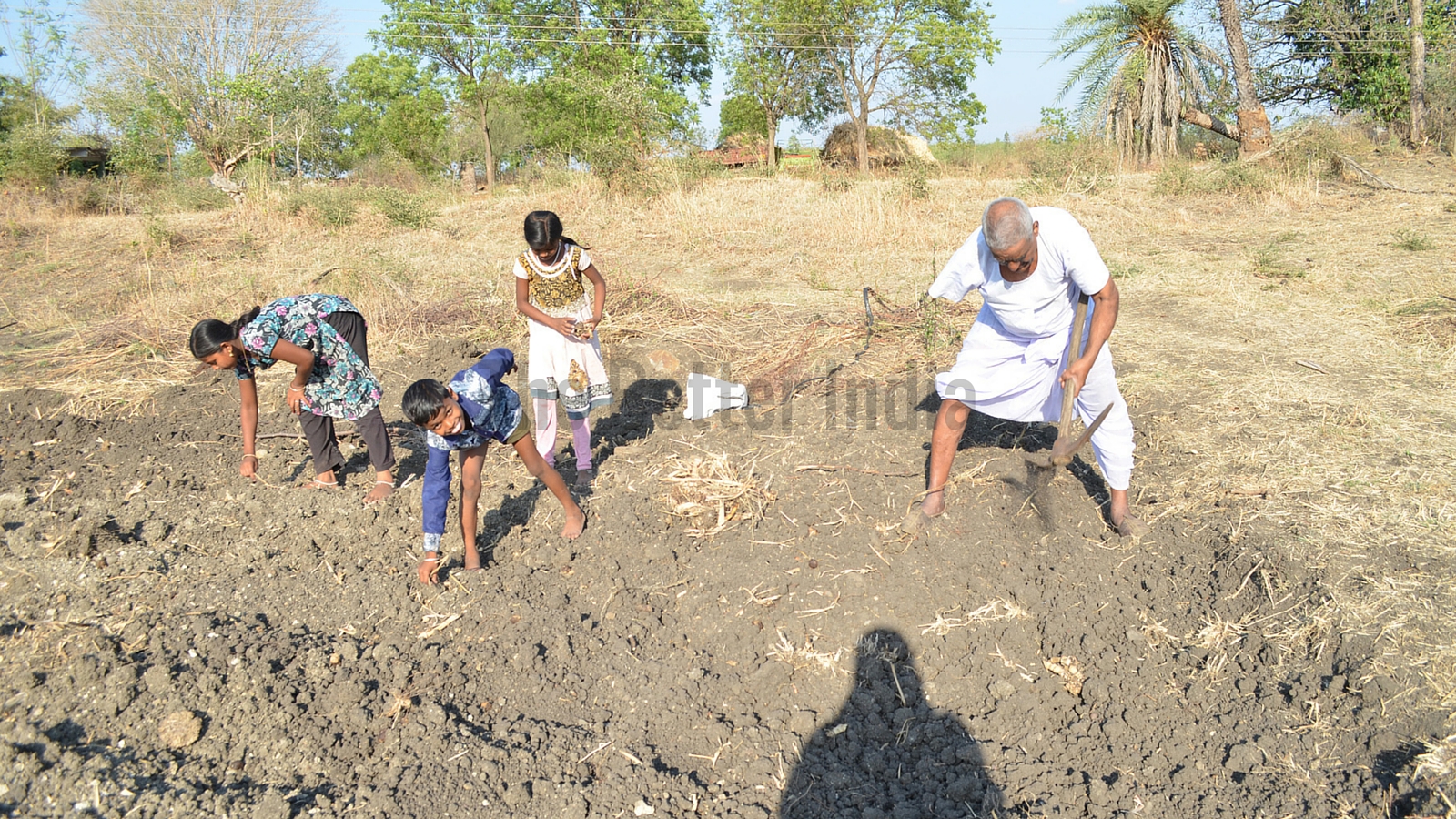 farming