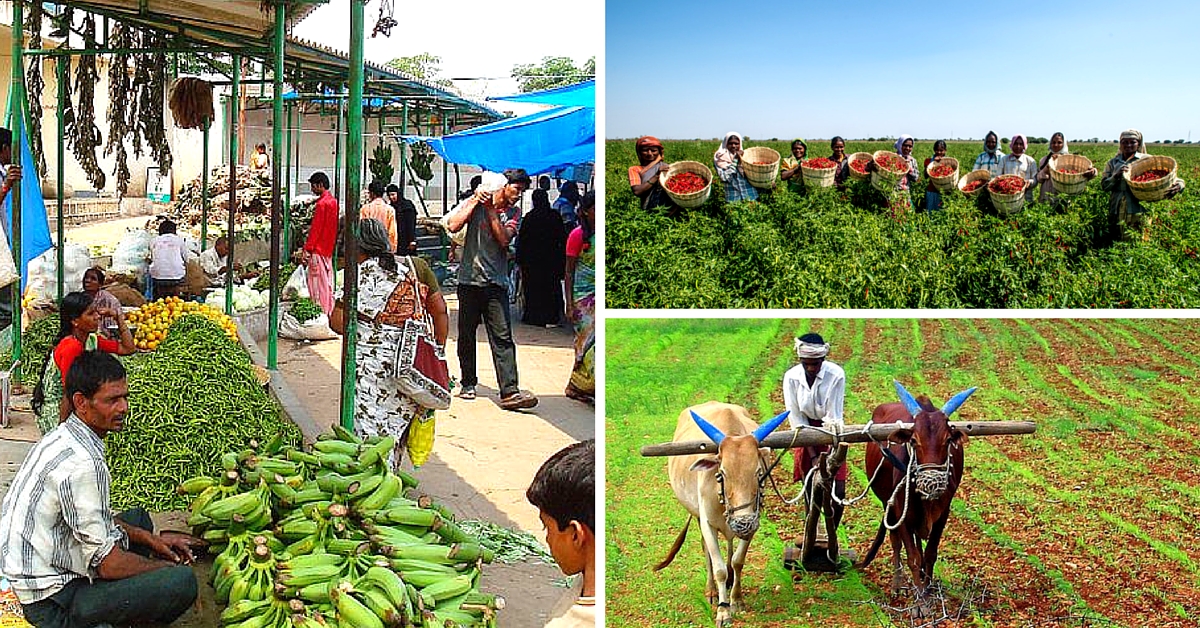 1.4 Million Farmers in K’taka Are Selling Their Produce Online – without Worrying about Middlemen