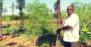 India's Water Warrior Has a Solution for India's Droughts. The Best Part - We Can Play a Role Too!