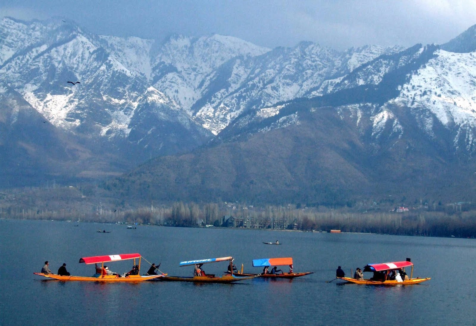 Shikaras on Dal Lake