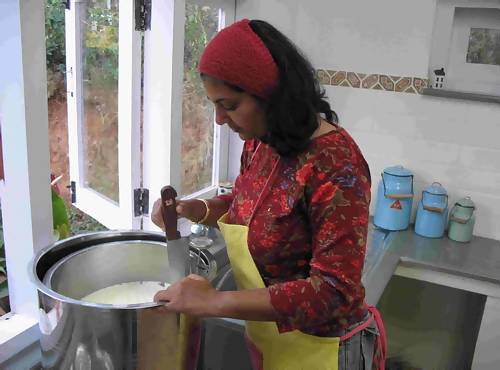 Cheese making at a farm