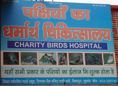 The Board outside this bird friendly institution Photo Credit: Ugain Jain