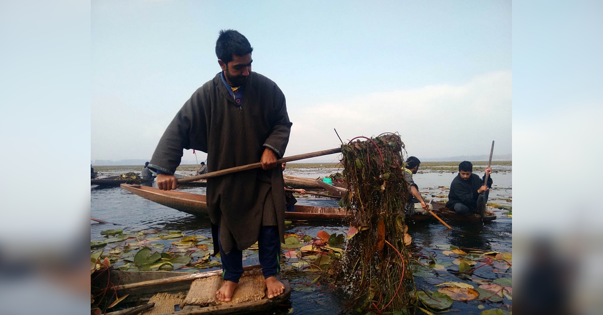 TBI BLOGS: How 200 Plus Kashmiris Joined Hands to Clean Dal Lake in This Amazing Community Effort