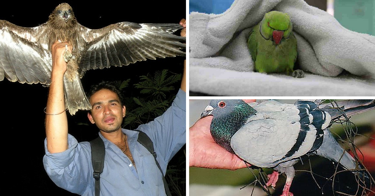 Birds Also Suffer from Paralysis, Chicken Pox & More. And Go to This Hospital for Free Treatment.