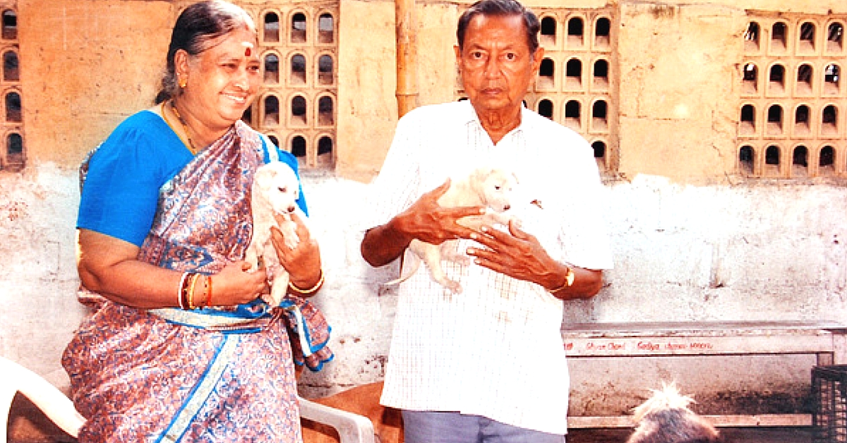 This Elderly Couple in Chennai Is Saving Street Animals with Medical Care and More