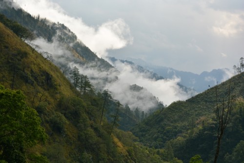 arunachal