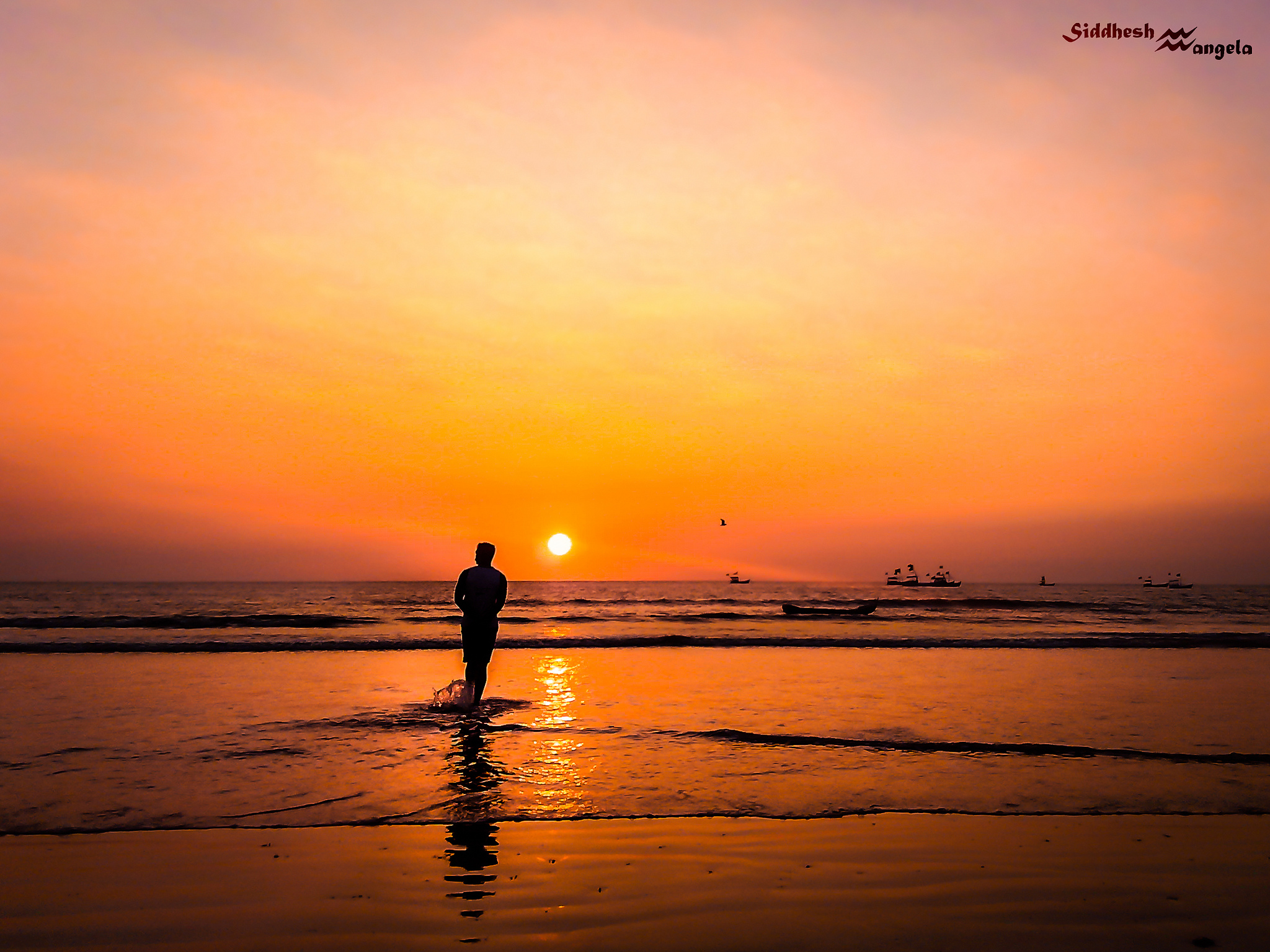 Sunset Summer Days Seashore Dandi Beach Stock Photo 648065383 | Shutterstock