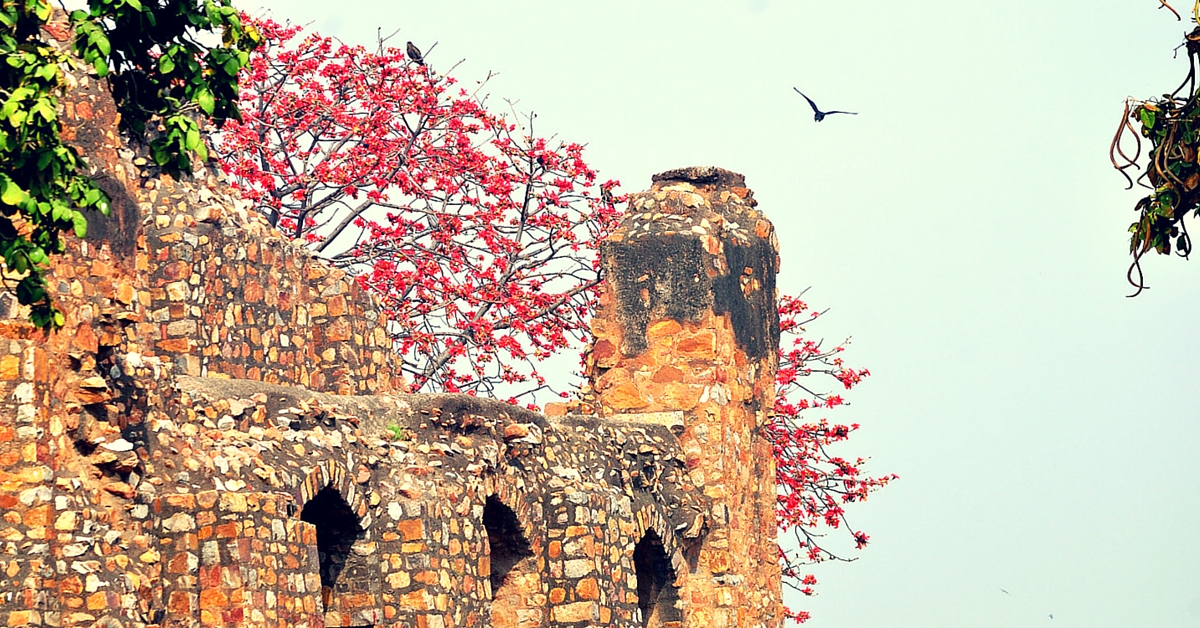 There Is a Palace of Hidden Secrets in Delhi. And People Send Letters Here Every Thursday!