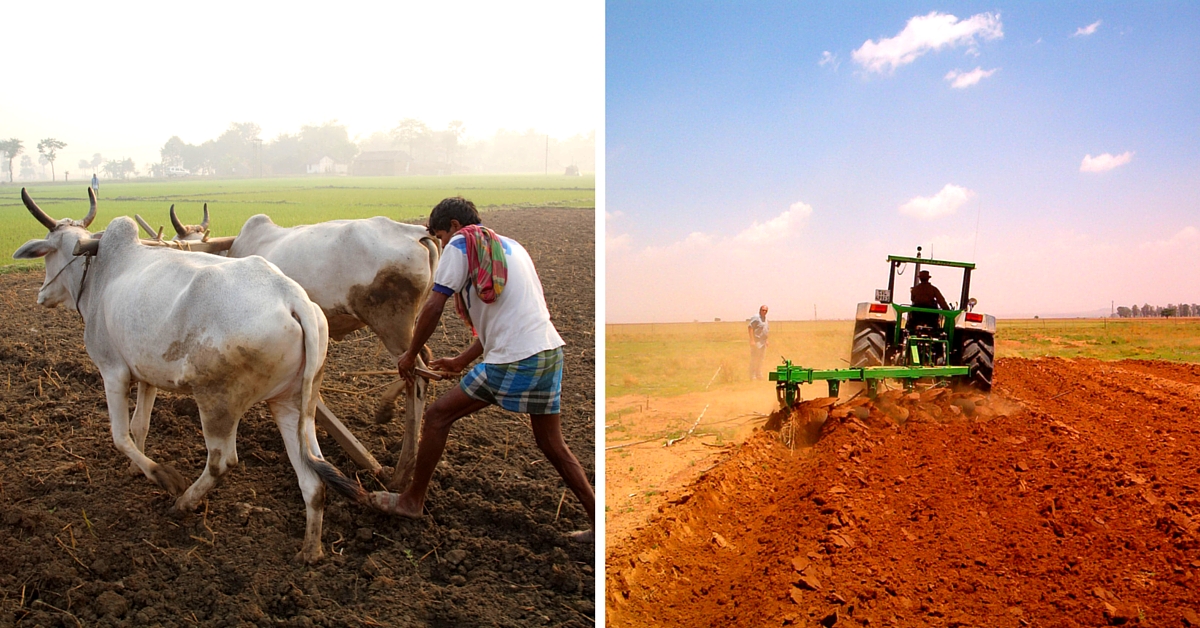 No-fuel Plough Invented by UP Farmer Costs Only Rs 3000, Beats Expensive Bullocks and Tractors