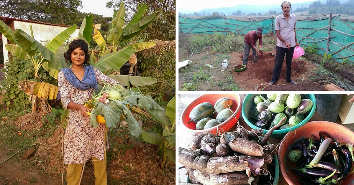 From Desk Jobs to Blue Skies and Brown Earth: How 6 People Quit Their Jobs to Take up Farming