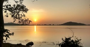 Gritty Woman Forest Officer Leads her Team to Stop Illegal Fishing at a National Tiger Reserve