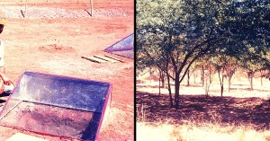 This Experiment Using a Glass Cover and the Sun Can Generate Water Even in Drought Affected Areas!